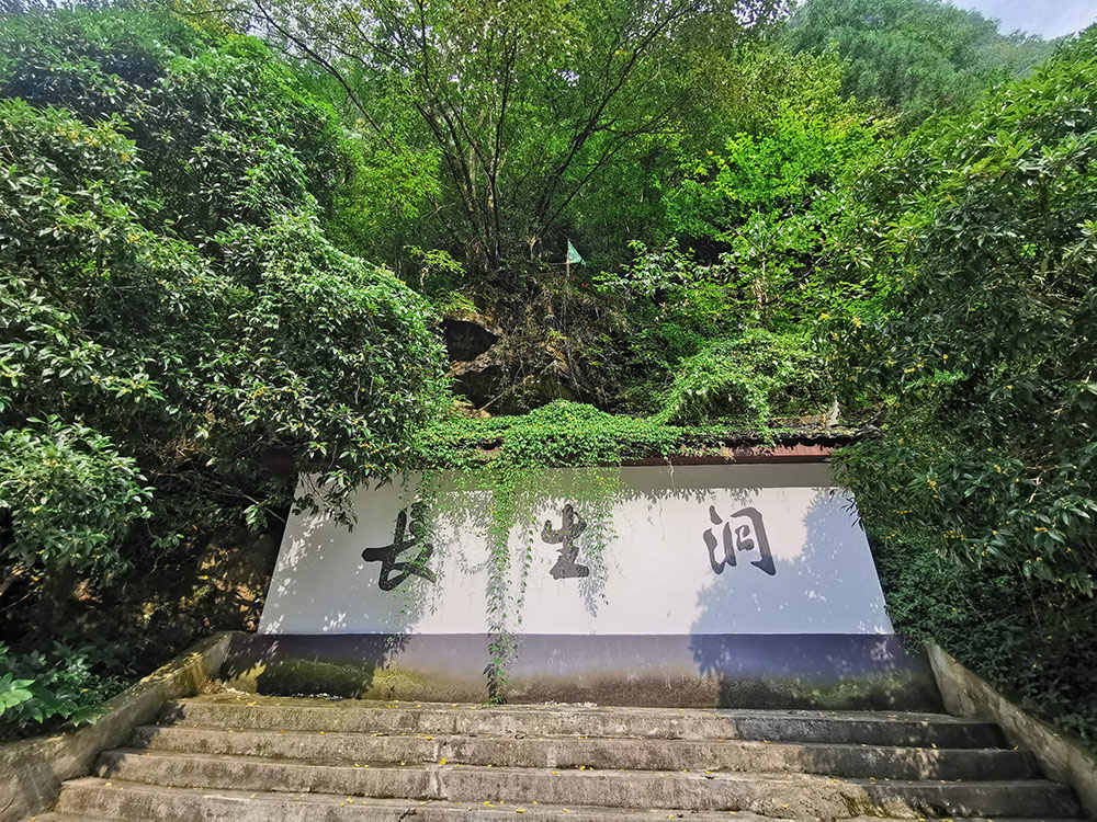图2