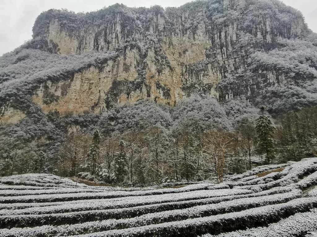 图14