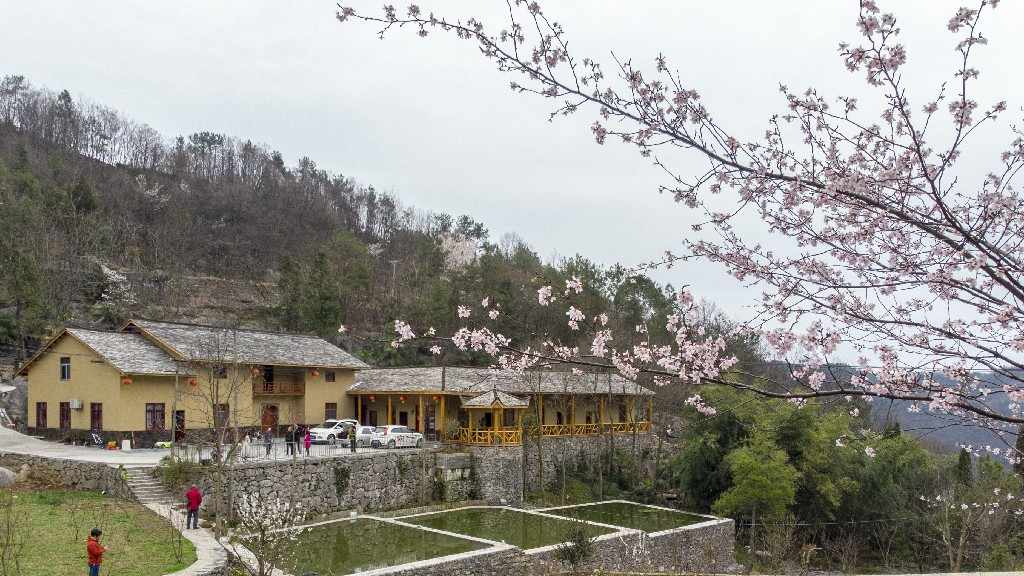 图2