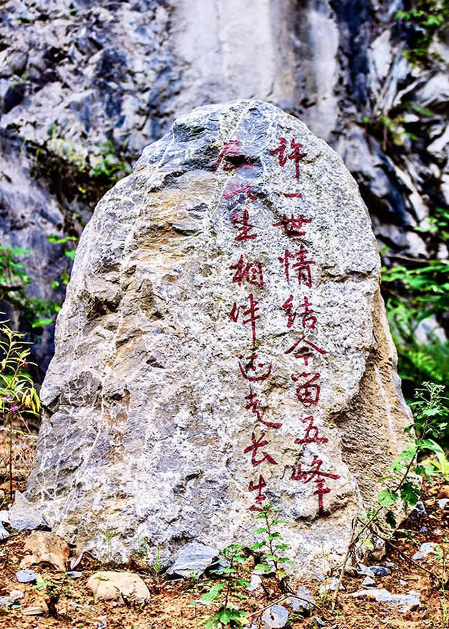图13