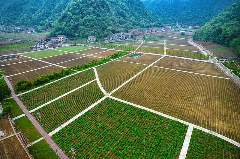 图22