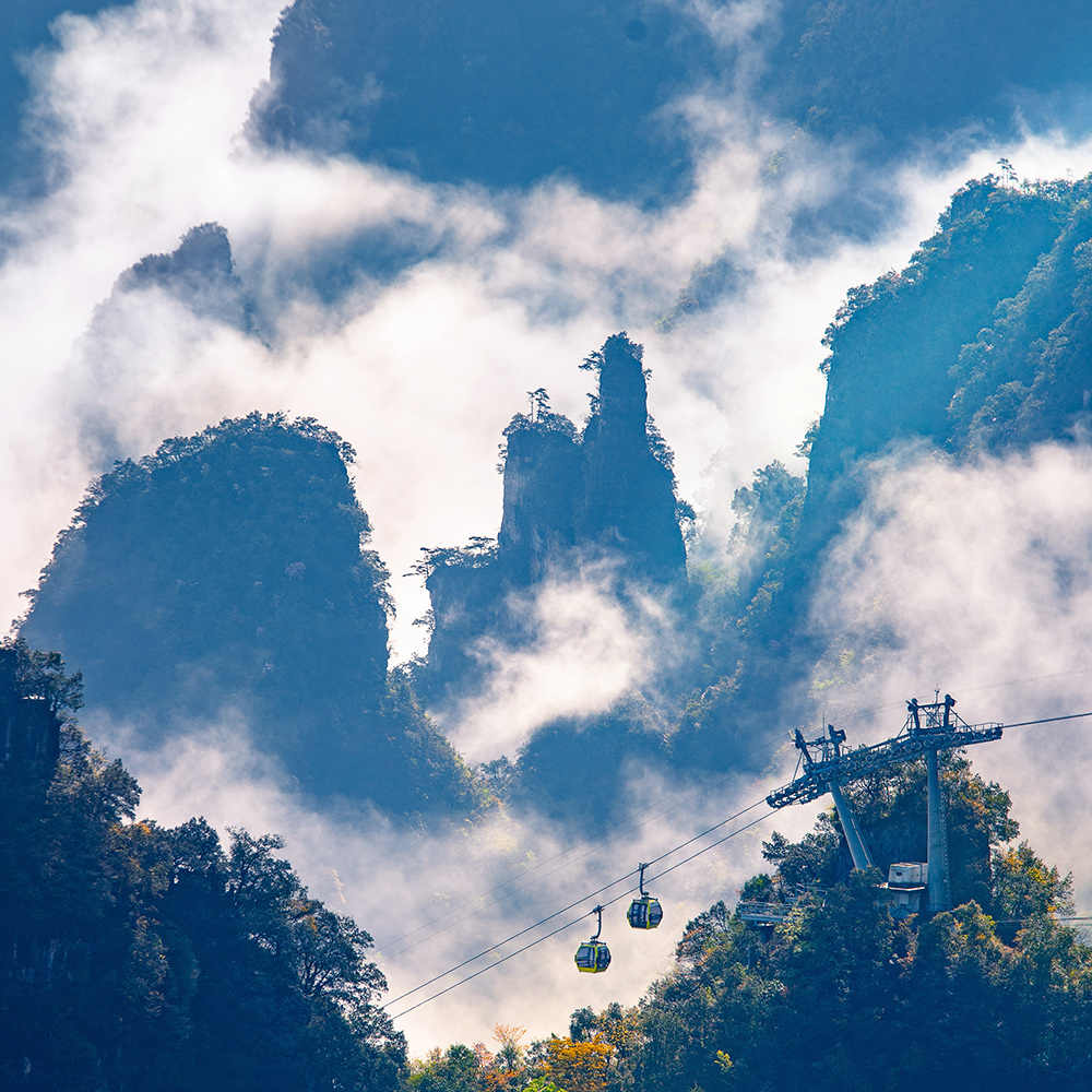 图1
