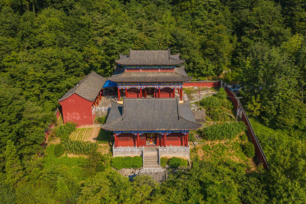 图5