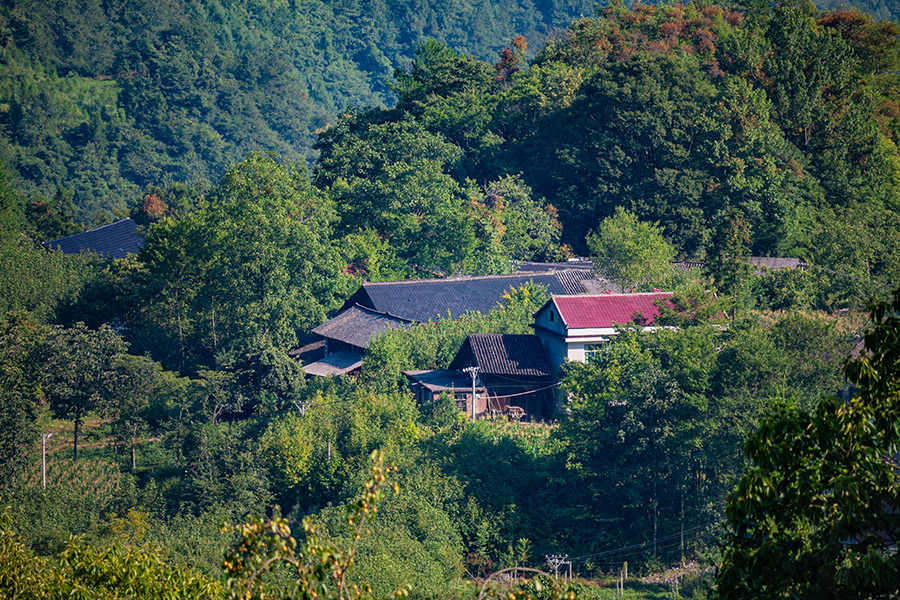 图26