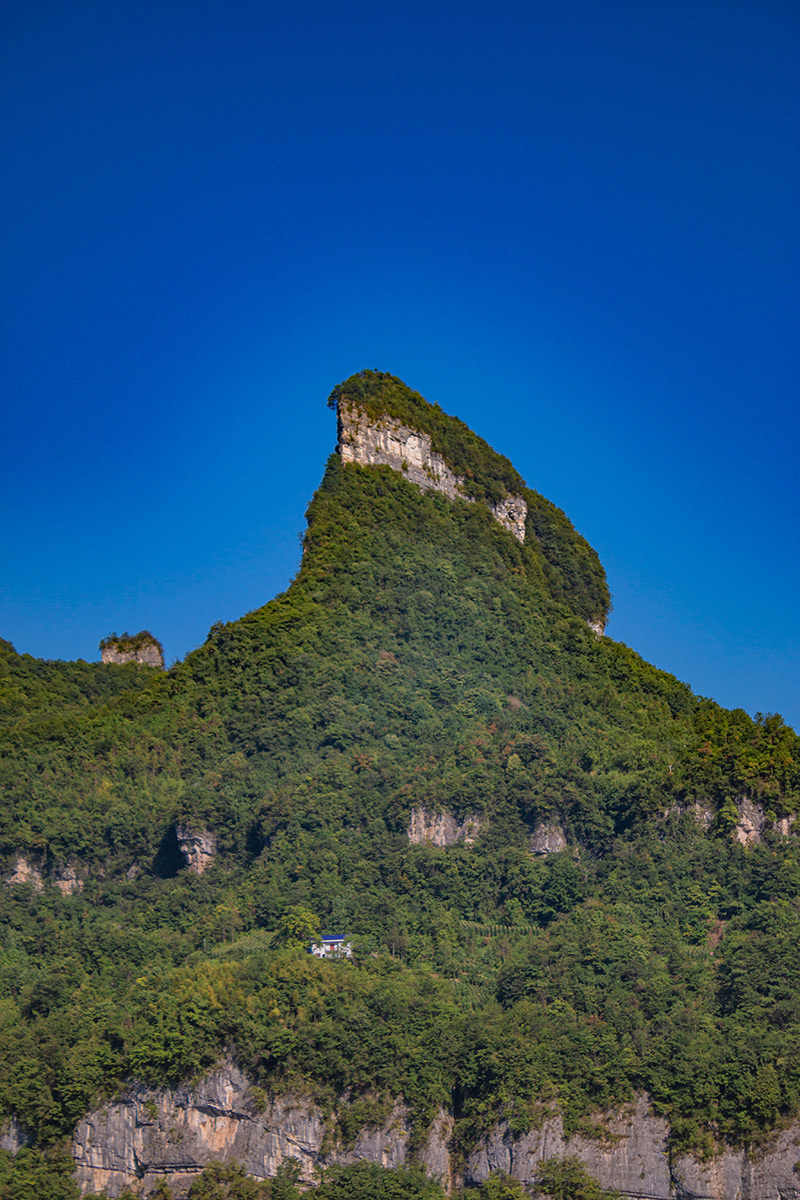 图10