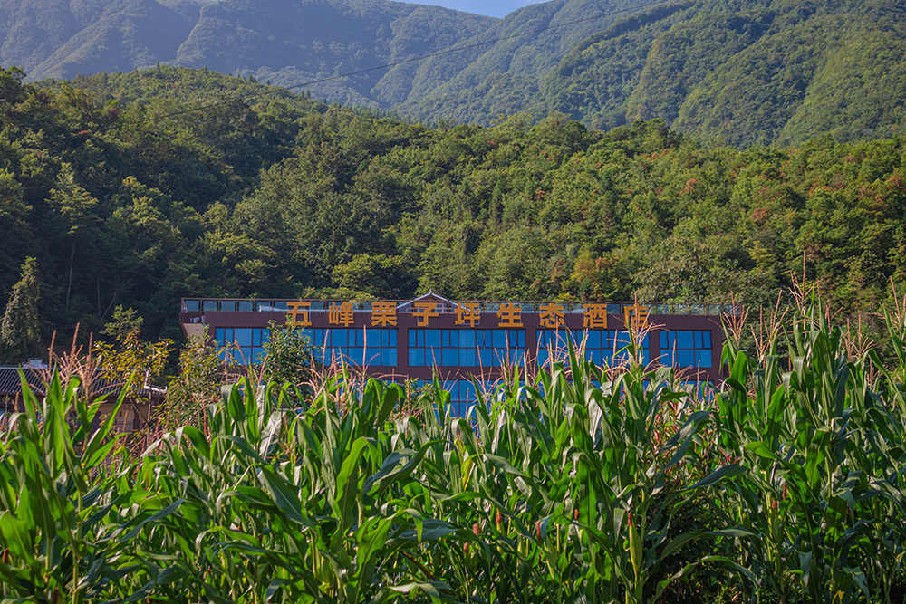 图24