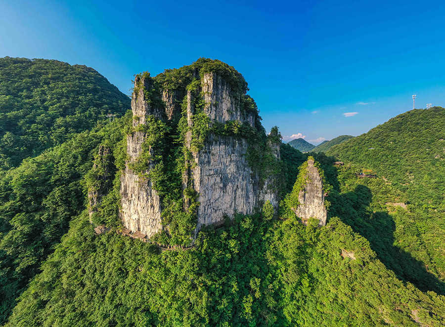 图7