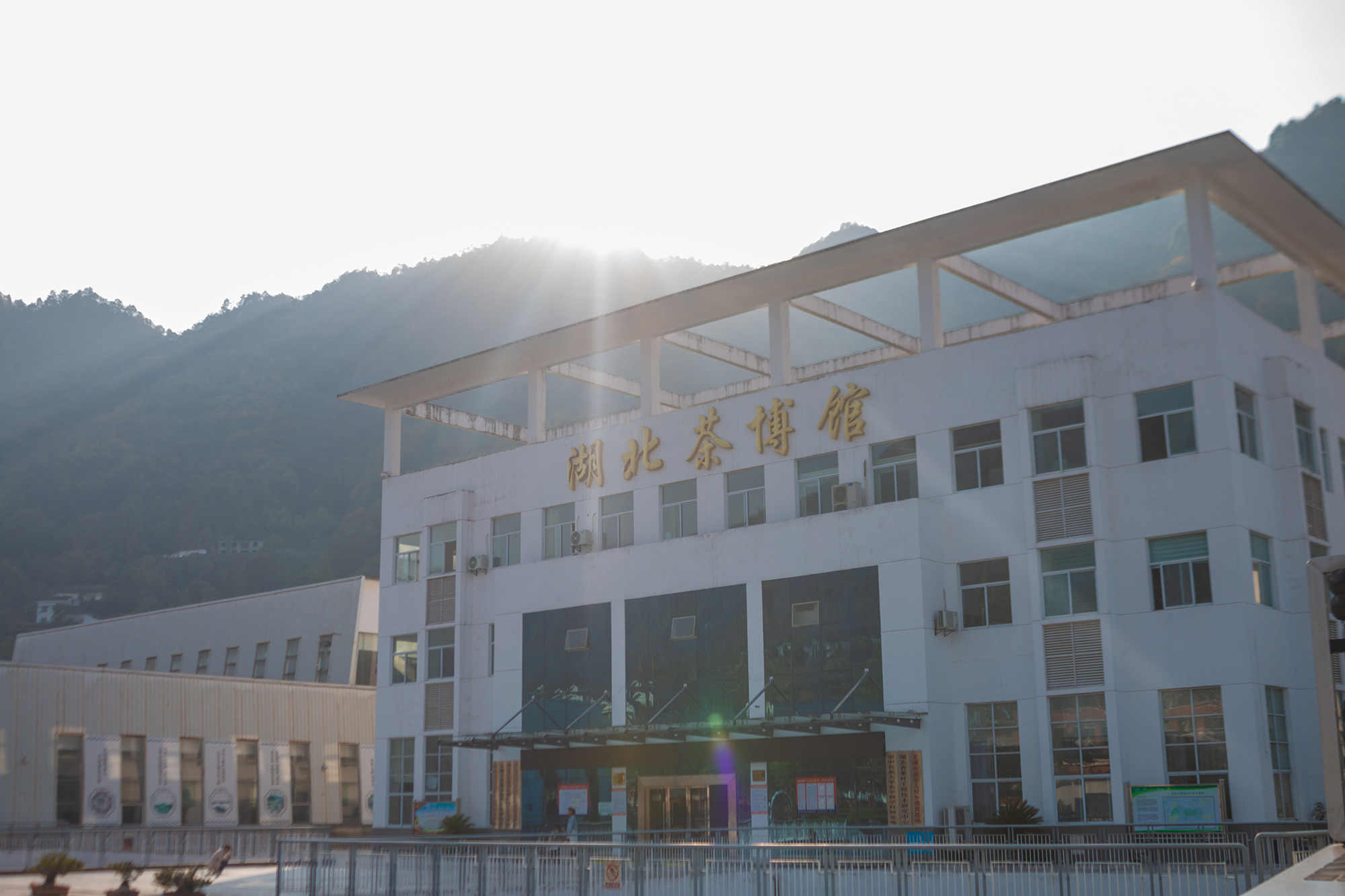 图5