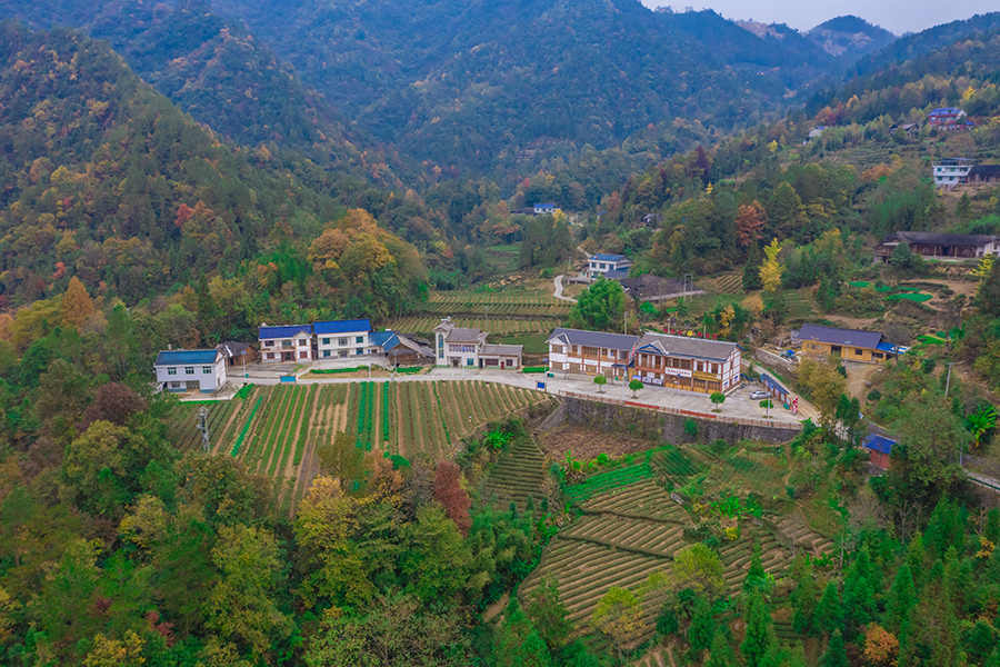 图14
