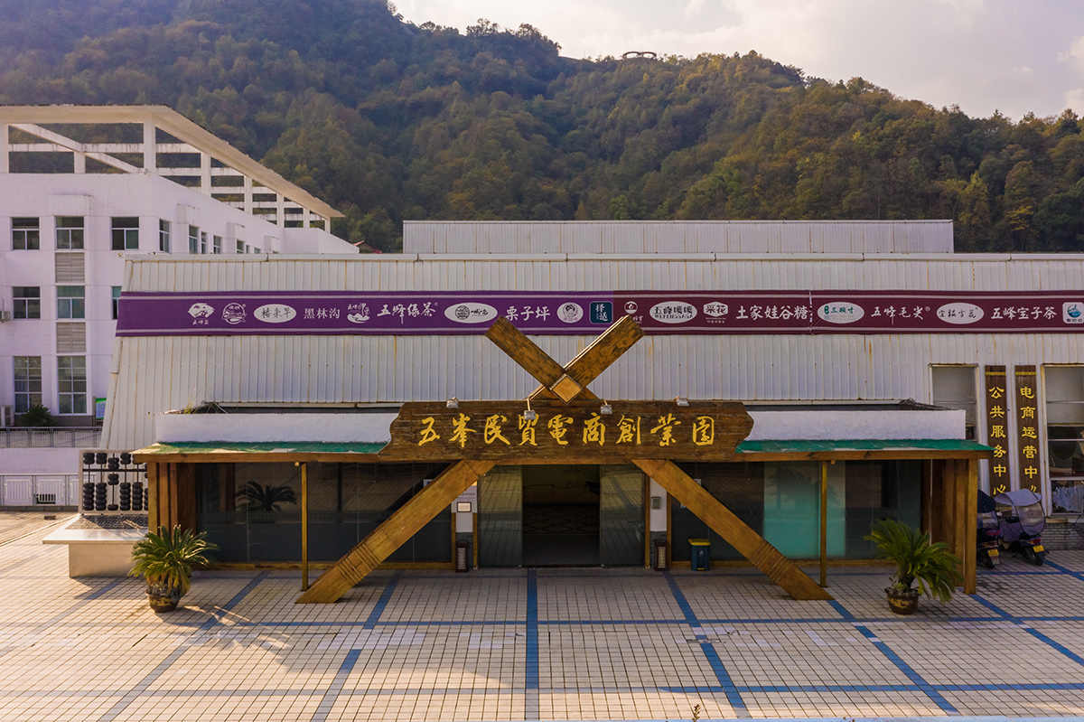 图5