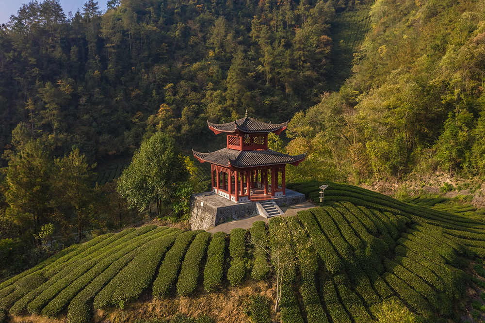 图7