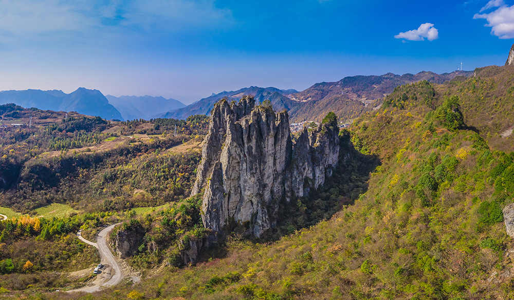 图6