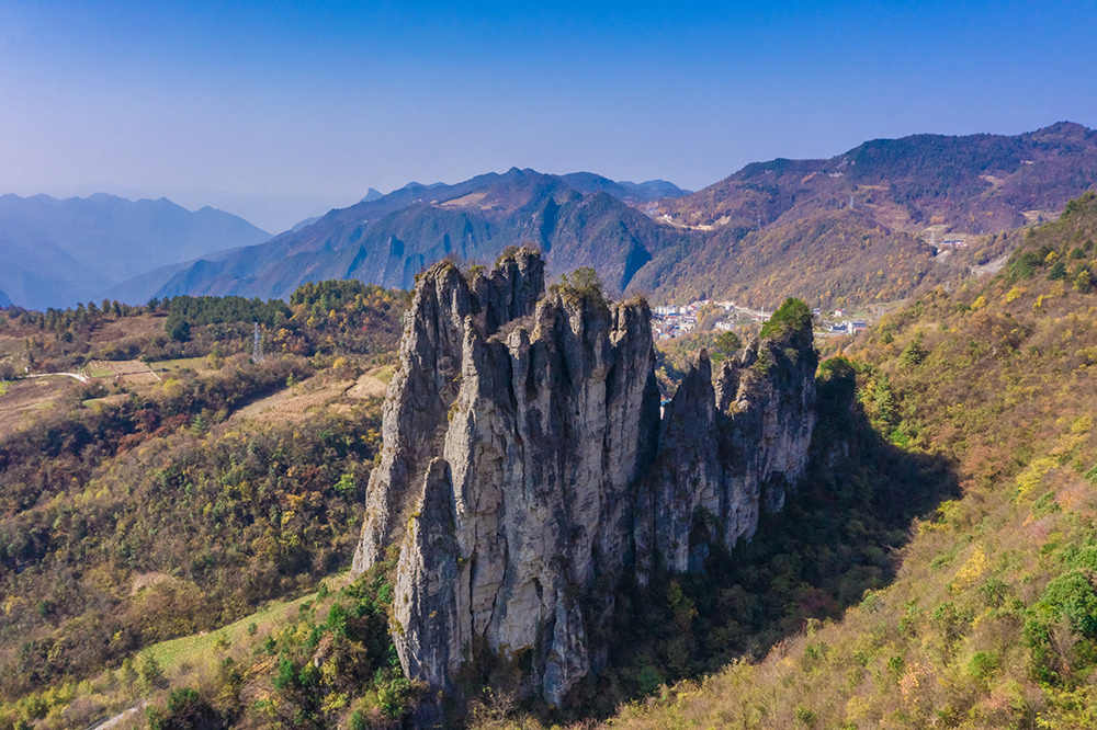 图7