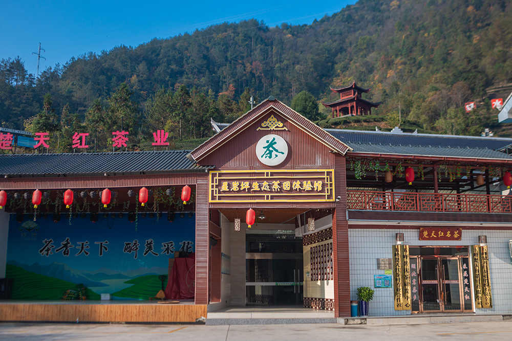 图2