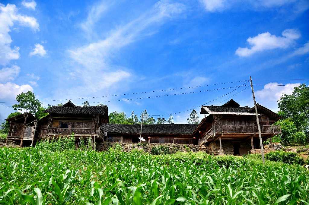 图15