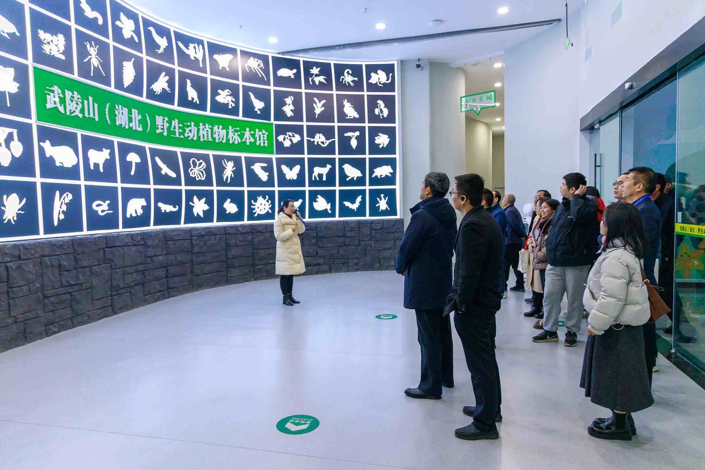 图2