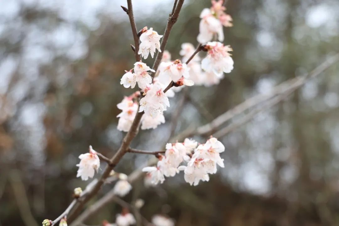 HW3A7557.JPG