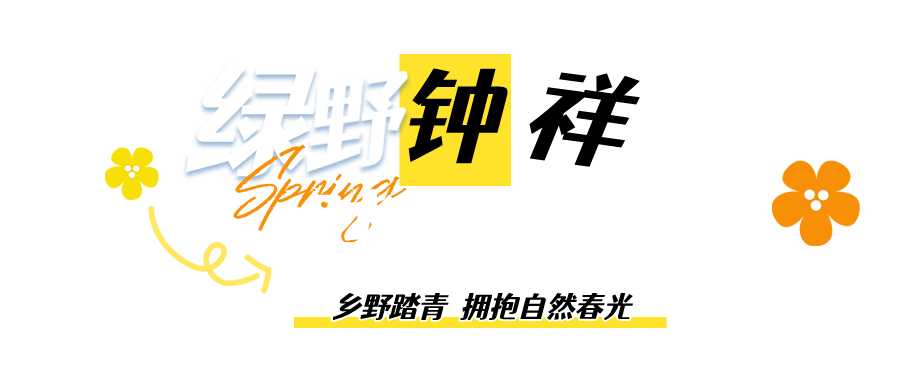 图文风蓝色春日研学招生宣传公众号首图__2025-04-17+17_55_01.png