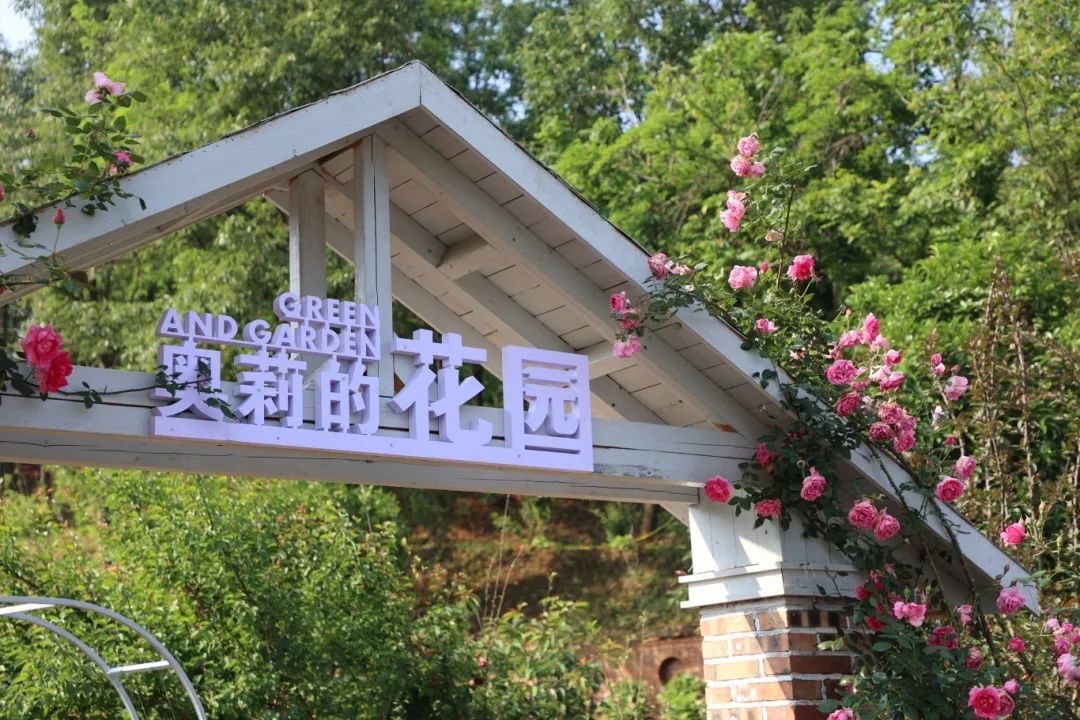 企业微信截图_17422820173471.jpg