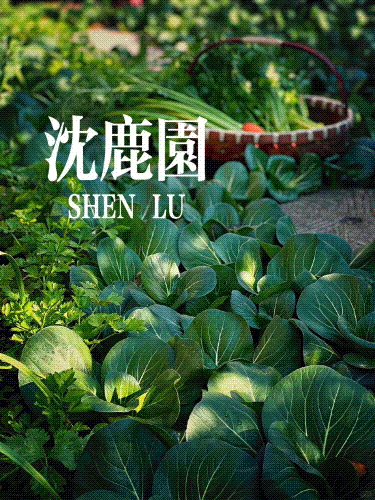 蔬菜.gif
