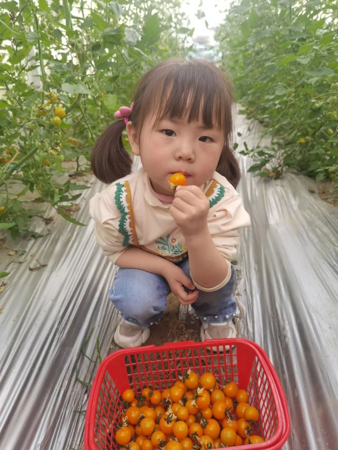 微信图片_20230418141734.jpg