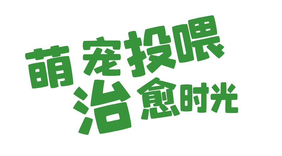 简约风小众旅行地横版海报__2025-05-07+15_46_12.png