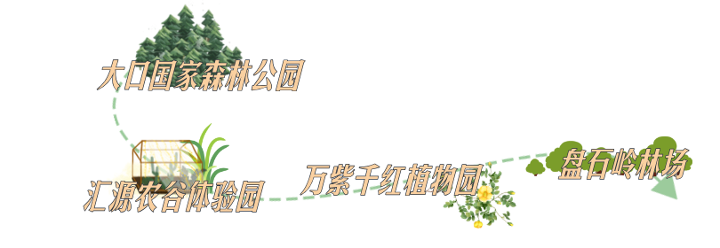 明星行程图宣传横版海报__2025-05-22+11_12_19.png