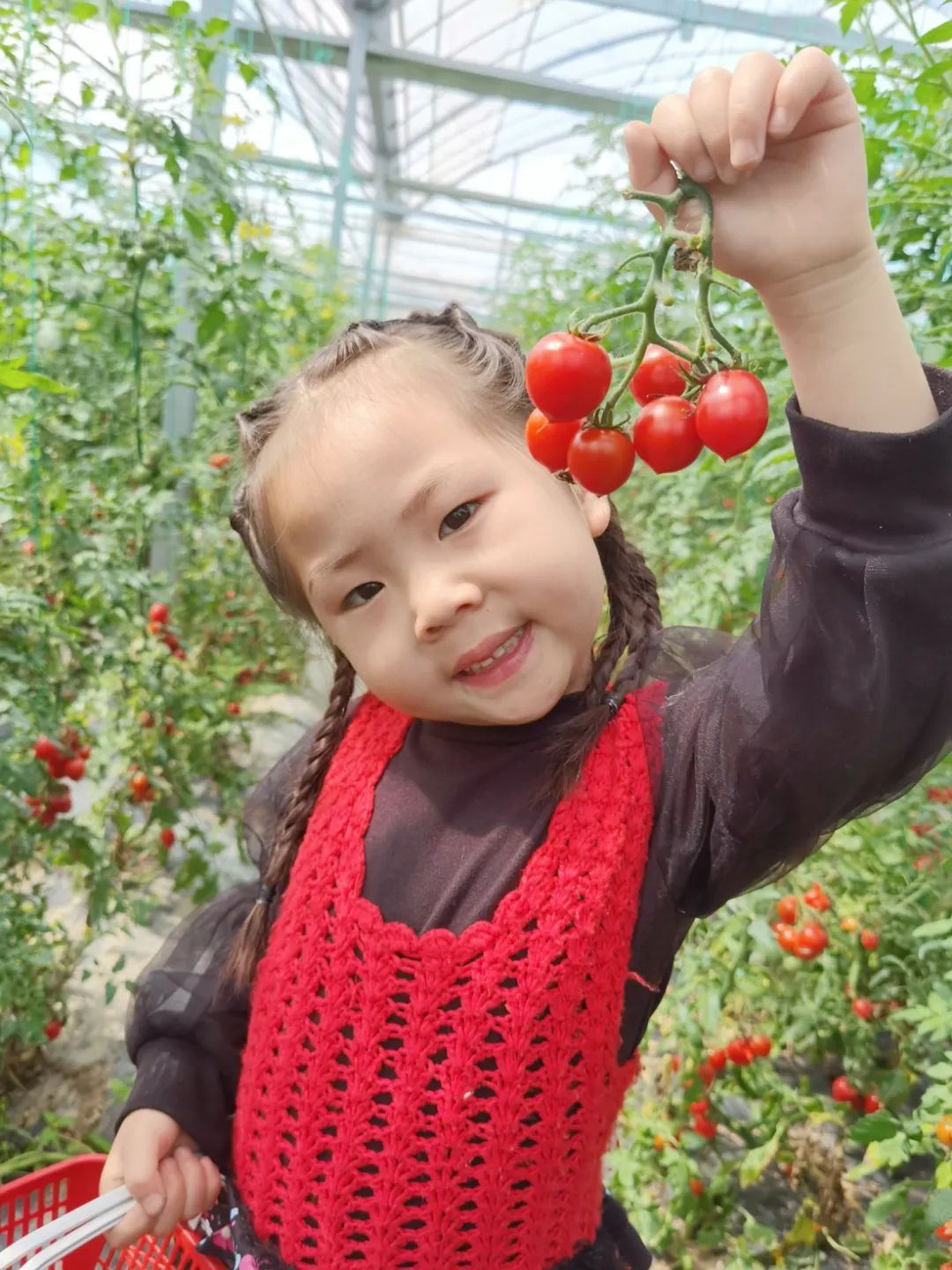 微信图片_20240422110932.jpg