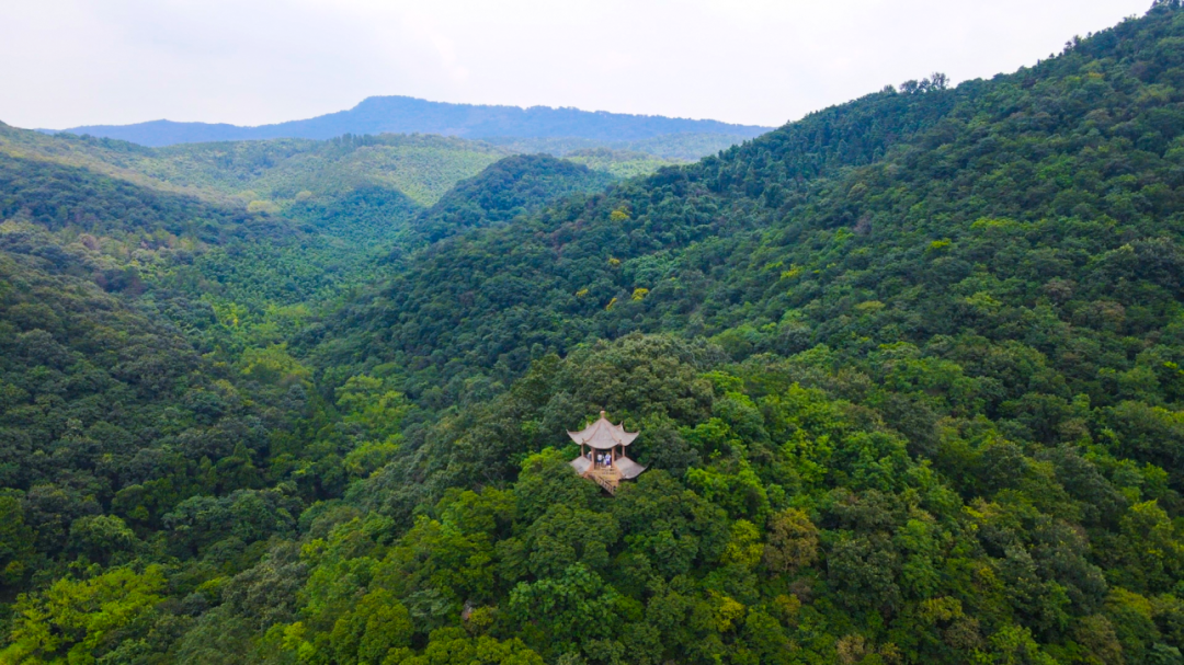 DJI_0978[00_00_29][20230323-105452].png