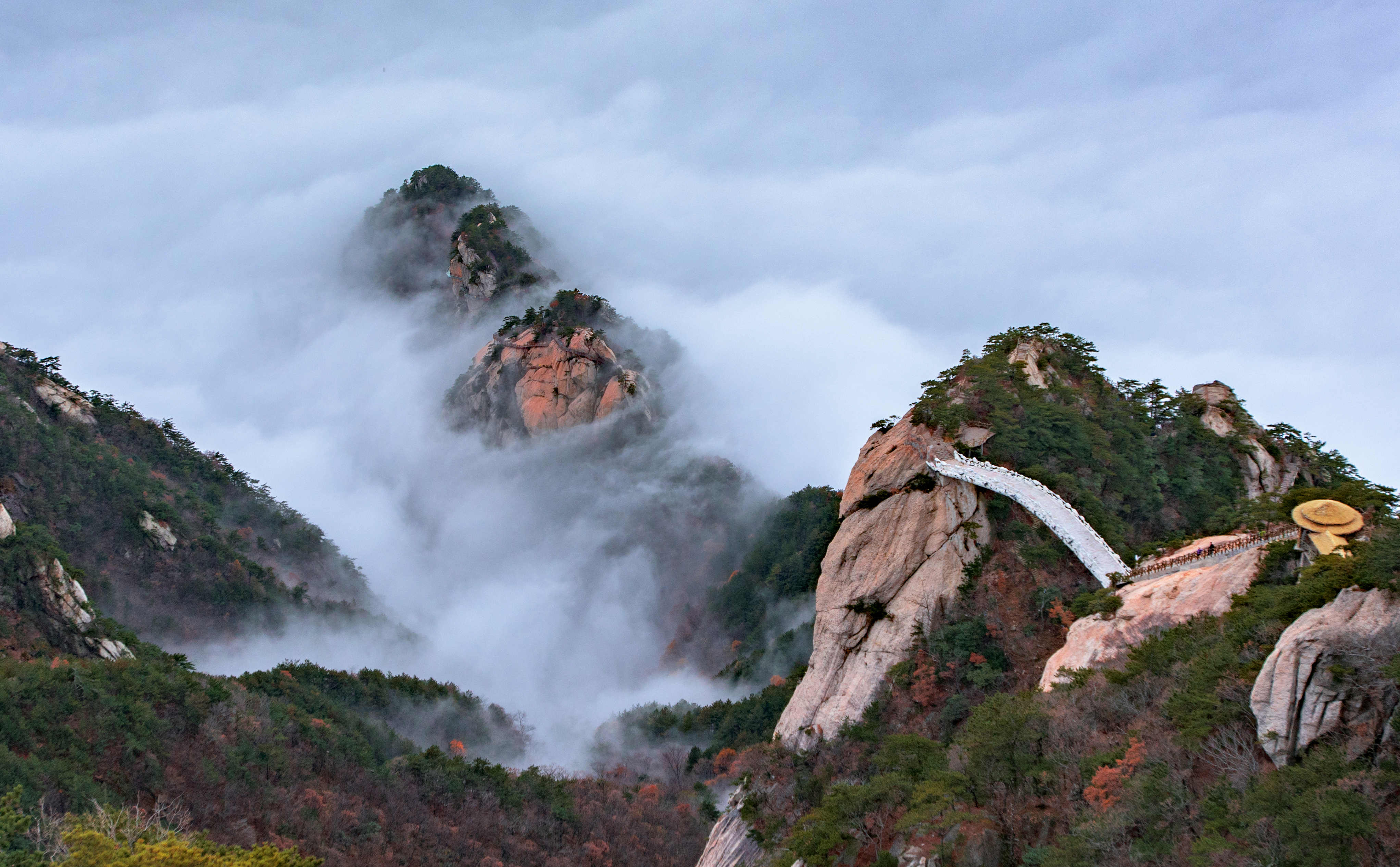 图13