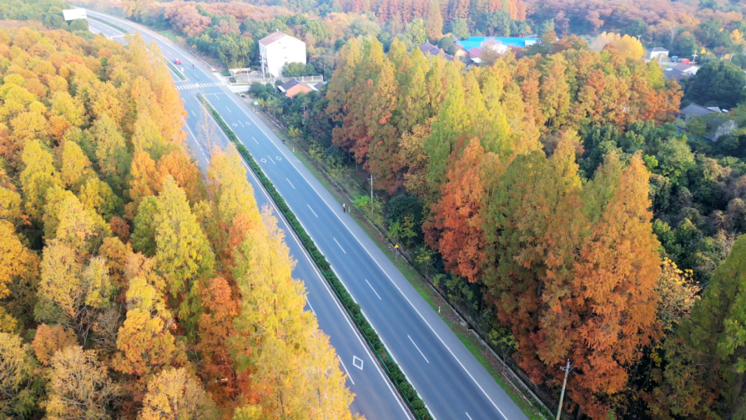 DJI_0726[00_00_17][20231129-091622].png