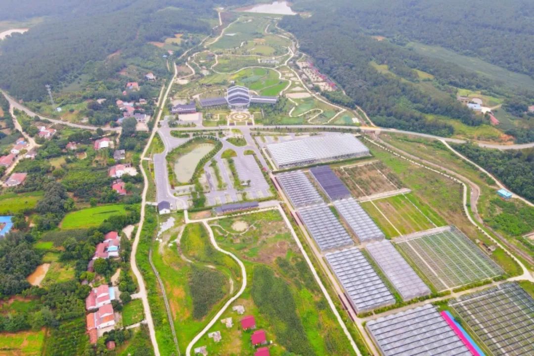 DJI_0023_副本.jpg
