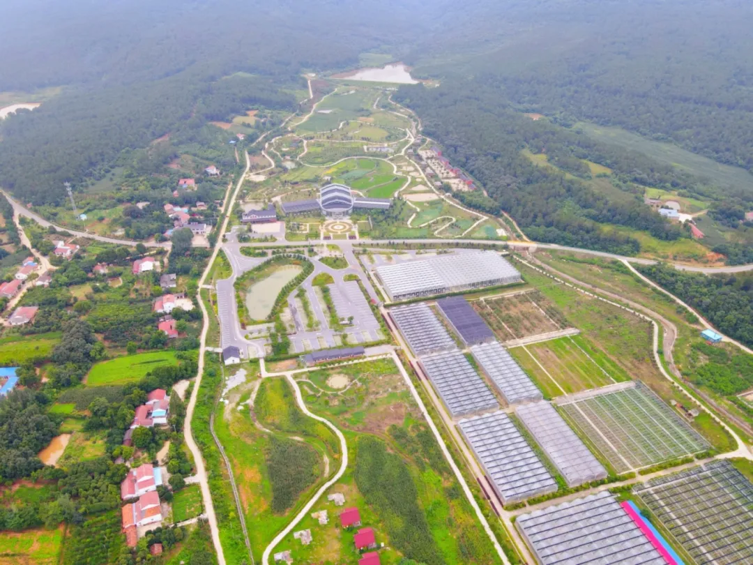 DJI_0023_副本.jpg