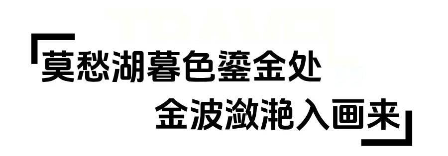 默认标题__2025-08-19+15_37_29.png