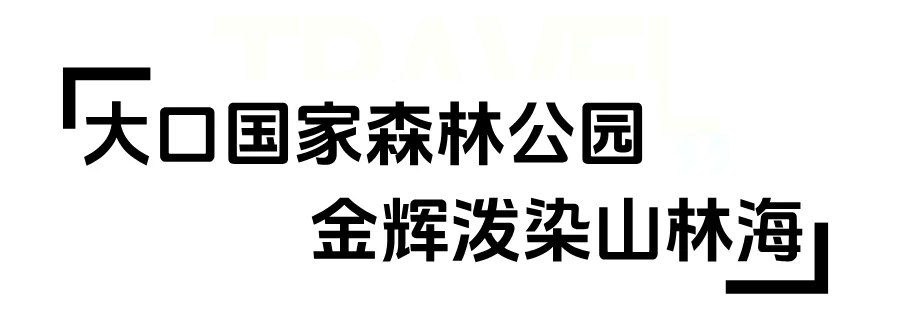 默认标题__2025-08-19+17_47_53.png
