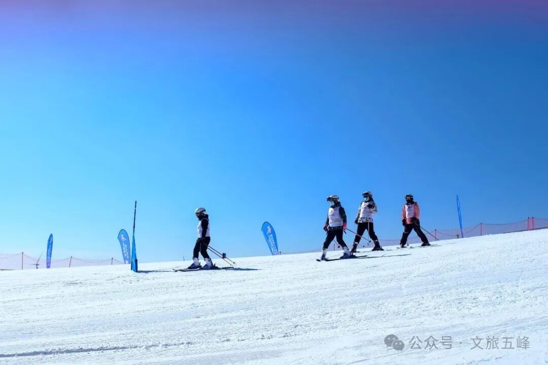 “冰火之旅”宜昌市第三届大众冰雪季滑雪公开赛火热来袭！