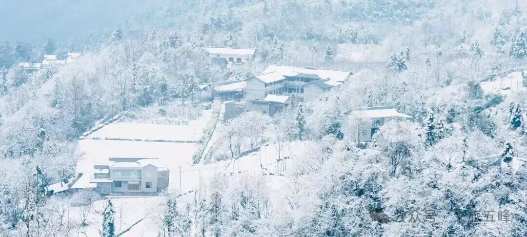 栗子坪的雪——飘在鄂西山脊的静谧诗篇