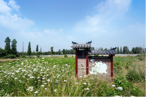 补充资料1020