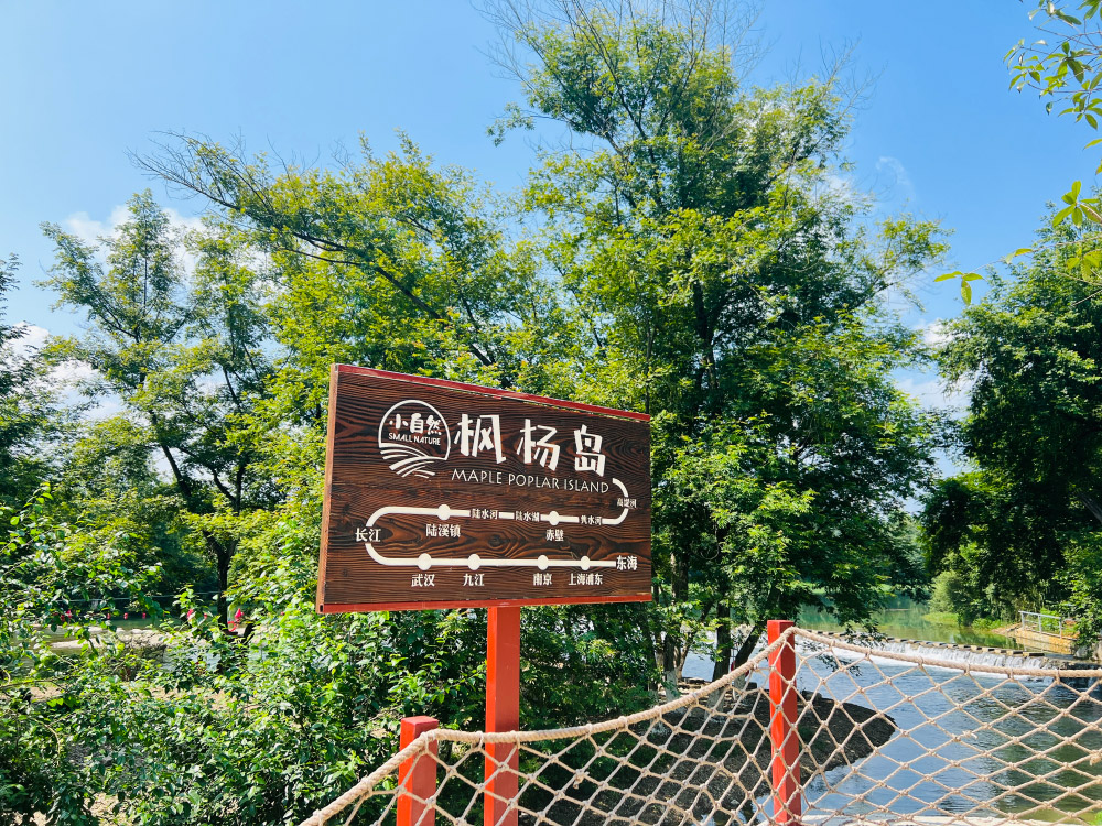 小自然枫杨岛嬉水