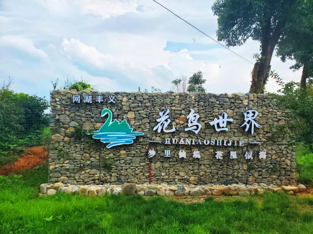 网湖丰义花鸟世界 网湖丰义花鸟世界